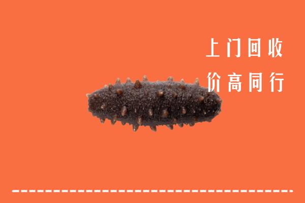 高价求购：重庆市巫山县回收海参